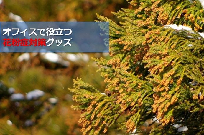 オフィスで役立つ花粉症対策グッズ 花粉を気にせず快適に働くために オフィス デザイン オフィスで役立つ花粉症対策グッズ 花粉を気にせず快適に働くために オフィス デザイン